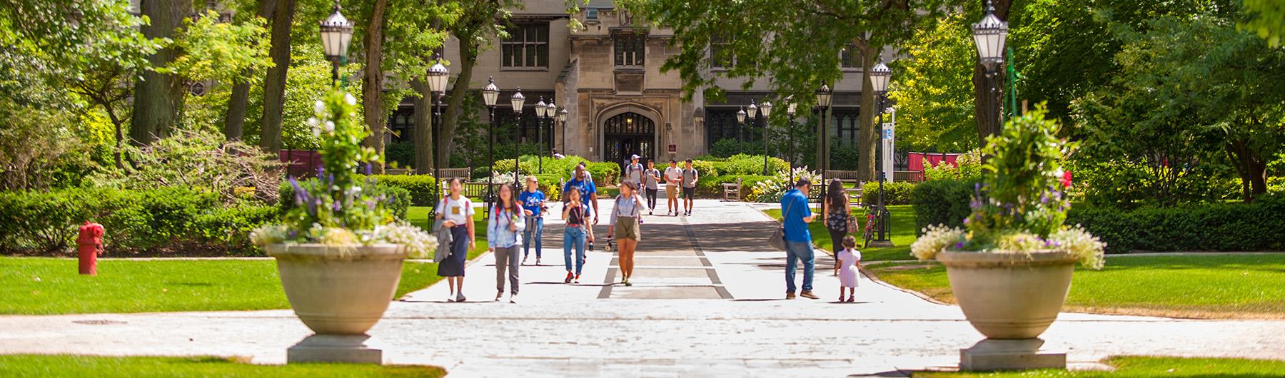 Harper Quad in Summer