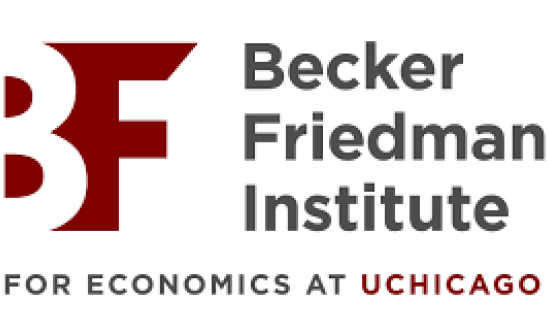 BFI Logo