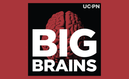 Big Brains logo