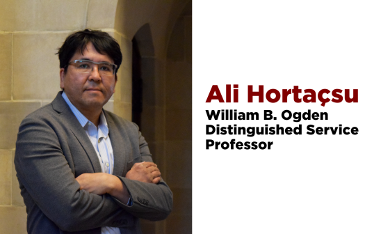 Ali Hortacsu named professorship
