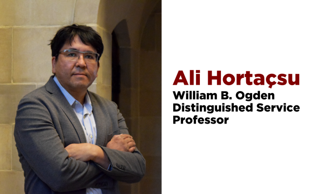 Ali Hortacsu named professorship