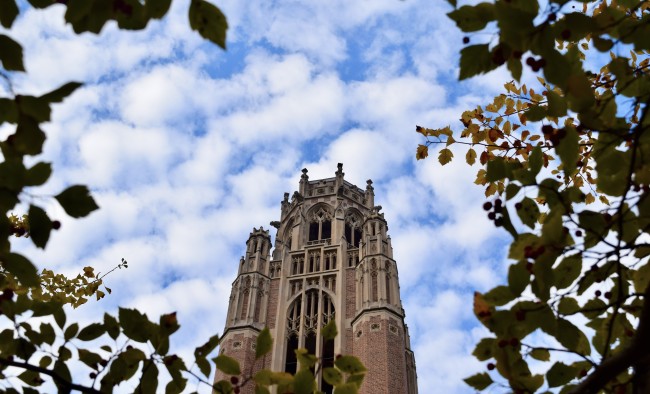 Photo of Saieh Hall tower through leaves