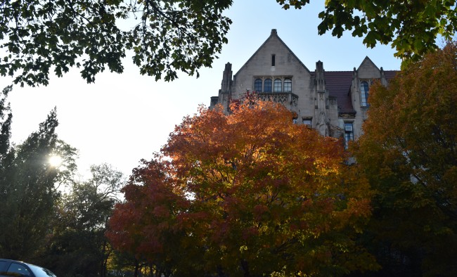 Photo of trees and campus