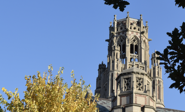 Photo of Saieh Hall tower through leaves